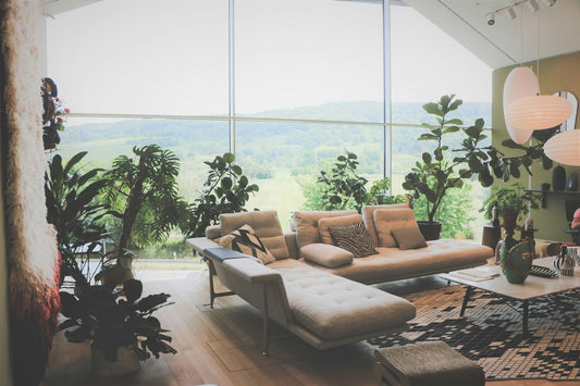 5 Simple Ways to Refresh Your Living Room on a Budget